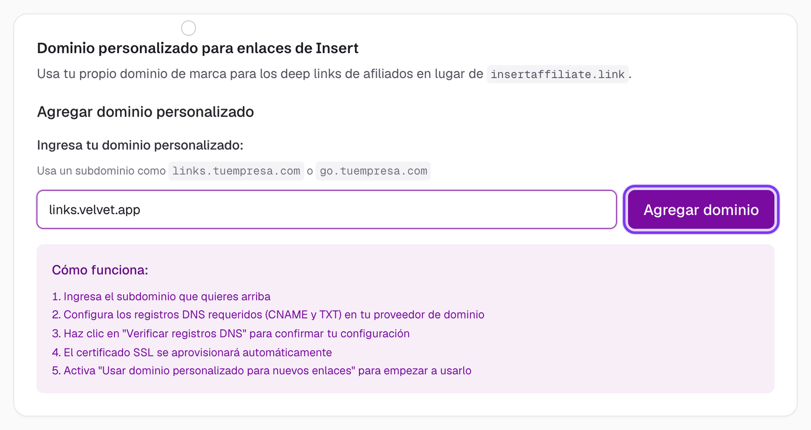 Sección Custom Domain for Insert Links en Configuración con un subdominio introducido y el botón Add Domain resaltado