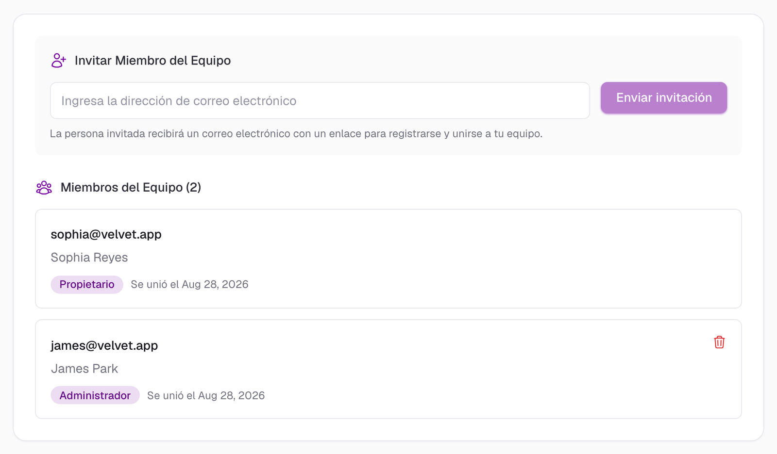Sección Gestión de Equipo en la configuración del panel de Insert Affiliate