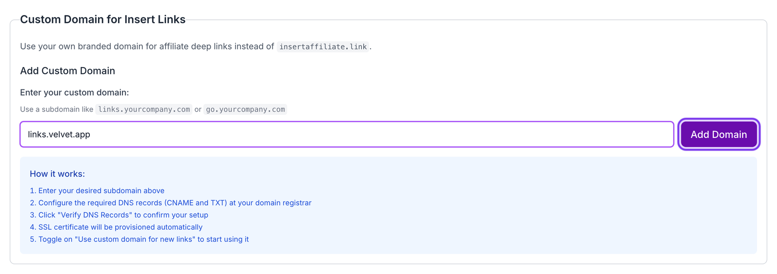 Custom Domain for Insert Links section in Settings with a subdomain entered and the Add Domain button highlighted